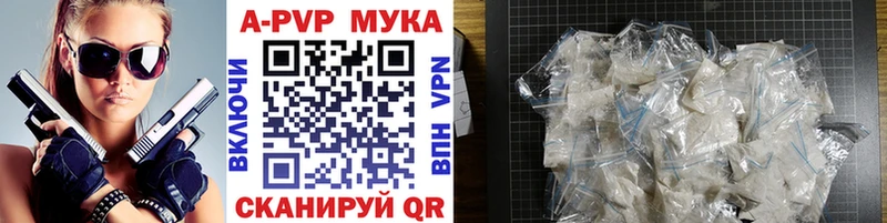 закладки  Цоци-Юрт  Альфа ПВП СК КРИС 