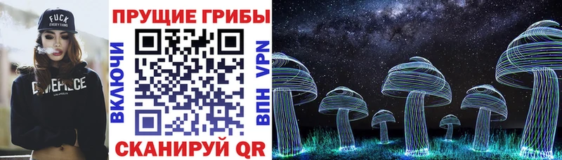 Галлюциногенные грибы мухоморы  Цоци-Юрт 
