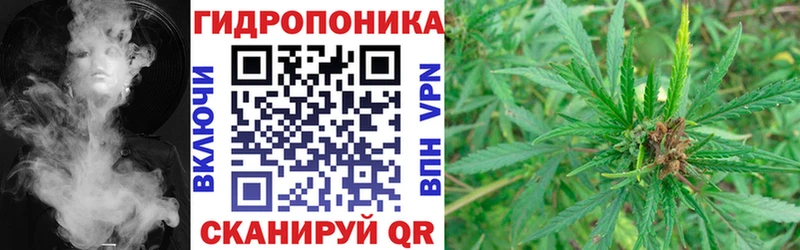 продажа наркотиков  Цоци-Юрт  Канабис AK-47 